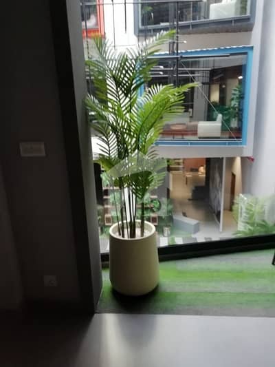 5000 Sq Ft Fully Furnished Office In Gulberg