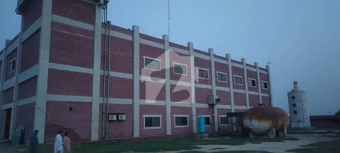 118 Kanal Factory For Sale In Raco Rai Near Nafees Milk Manga Road Raiwand