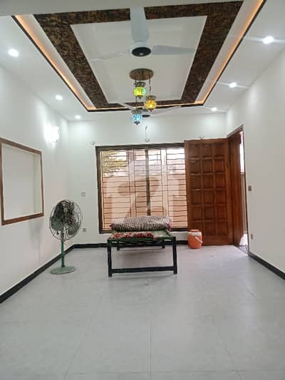 7 Marla Single Storey For Rent In Jinnah Garden