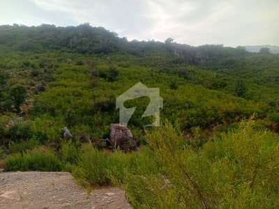 27 Kanal Residential Land Is Available For Sale In Khanpur Haripur
