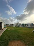 5 5