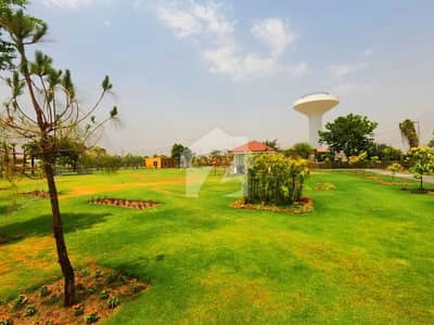 Prime Plot For Sale In M Block