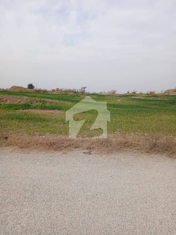Level 30x60 plot near from park and main road Level 30x60 plot near from park and main road