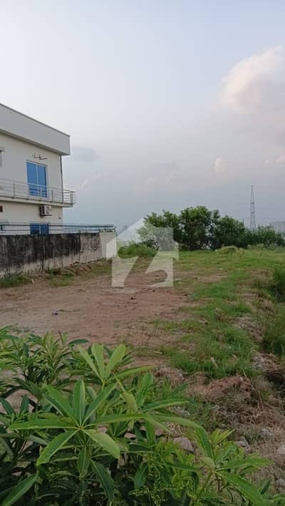 13 Marla Back Open & Height Location Plot
