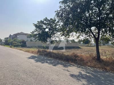 U block 1 kanal Plot Ideal Location Available for Sale
