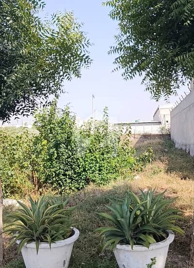1 Kanal Plot Available For Sale In Judicial Colony Faisalabad