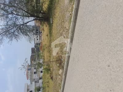 8 marla lop clear plot for sale in st 123f