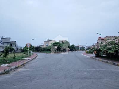 Pair Plot In Most Desired Street