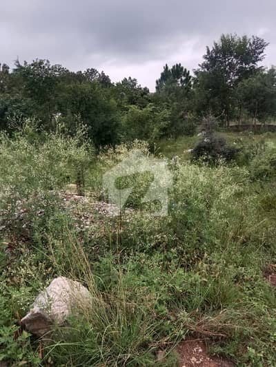 Prime 21.34 Marla Plot For Sale Tarhana Plotting (Near KKH)