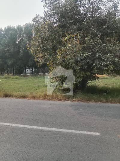 1 Kanal Pair Good Location Main ki back Merging fees Paid