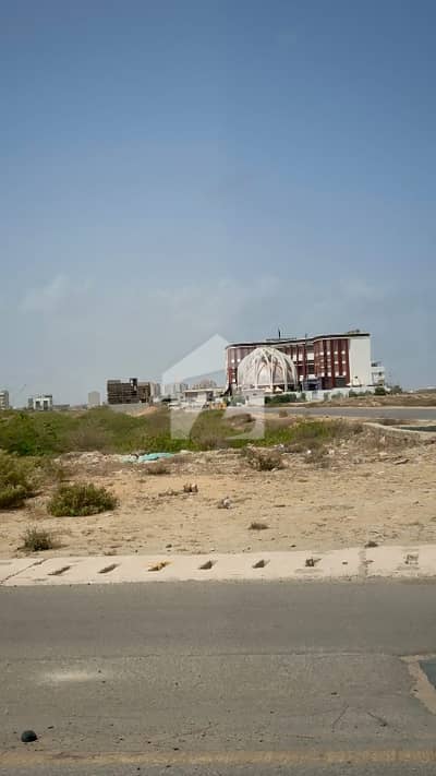 phase 8 zone D 500 yds plot for sale