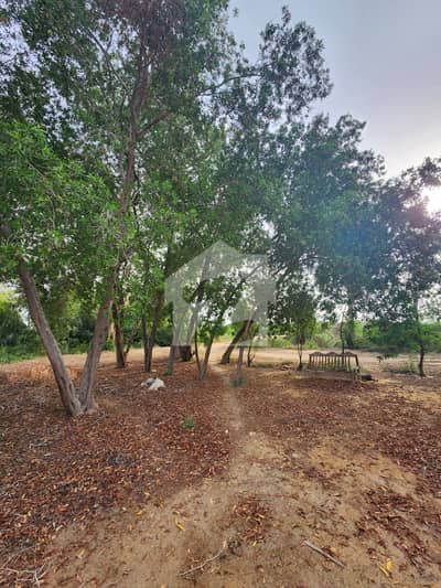 Land Is Available For Farm Houses , Cattle / Dairy / Fish / Shrimp Farming And Agriculture Land Is Available For Farm Houses , Cattle / Dairy / Fish / Shrimp Farming And Agriculture