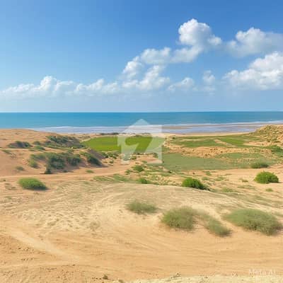 موضع شتانگی گوادر میں 160 کنال زرعی زمین 8.0 لاکھ میں برائے فروخت۔