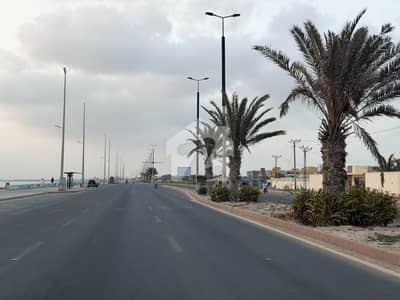 موضع شمالی بندھن گوادر میں 80 کنال کمرشل پلاٹ 15.0 لاکھ میں برائے فروخت۔