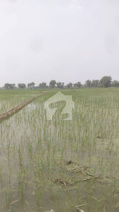 Reserve A Centrally Located Agricultural Land In Others Mahmood Abad Farms, 154/EB, Burewala