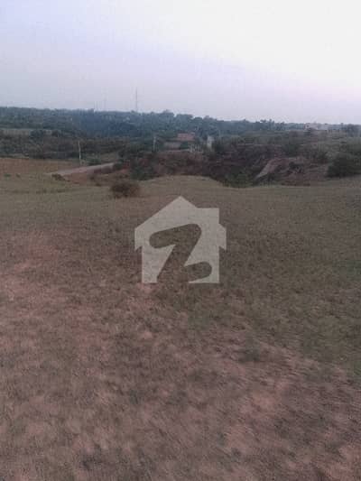 30 Kanal Farm House Land For Sale
