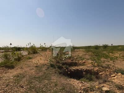 300 Yards Plot 1st Belt Sector 14B
