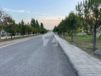 5 Marla Plot Form In Gulberg Greens Is Available