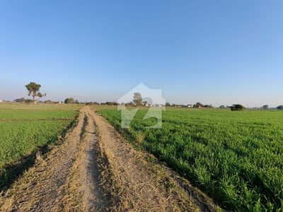 5 Acre Prime Agricultural Land for Sale Near DhaunkalSiranwali Road | Ideal for Farming & Future Development 5 Acre Prime Agricultural Land for Sale Near DhaunkalSiranwali Road | Ideal for Farming & Future Development