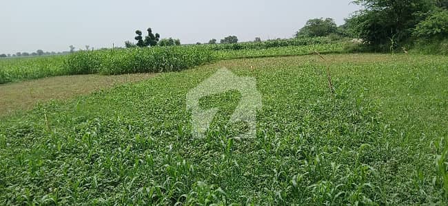 Prime Location Main Bedian Road Direct Approach Carpeted Road Front Future Investment Or Farm House Best Option