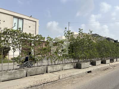 500 Yards Plot For Sale Zone B