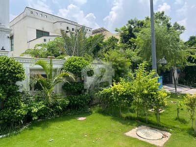 1 Kanal Renovated House For Sale In Reasonable Price