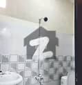 5 5