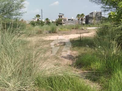 Pair Commercial Plot for Sale in Zamar Valley Pair Commercial Plot for Sale in Zamar Valley