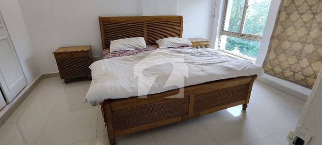 2 Bedroom Fully Furnished Apartment for Rent in Diplomatic Enclave