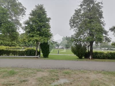 Residential Plot In Wapda City - Block M For Sale