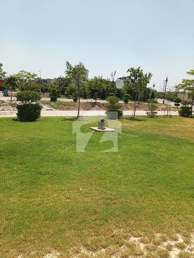 To sale You Can Find Spacious Residential Plot In NFC 1