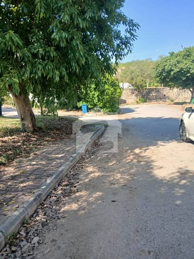 3 Kanal Corner Plot On Prime Location On Cheao Price