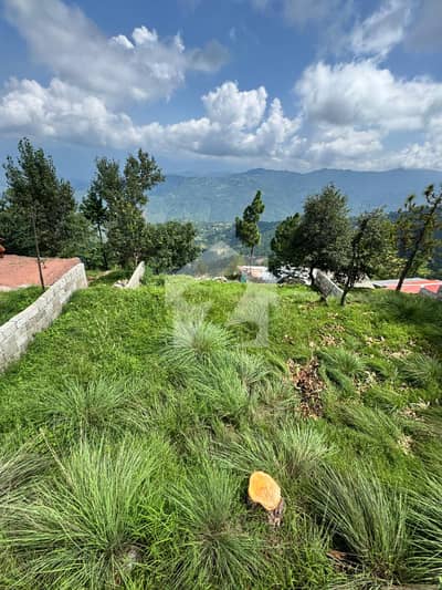 1 Kanal Residential Plot for Sale | Bhurban, Murree | Near Pine Court