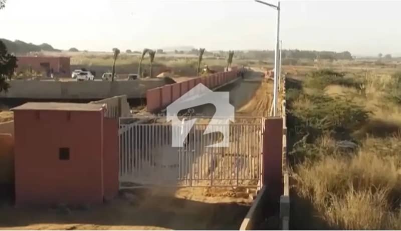 5 5