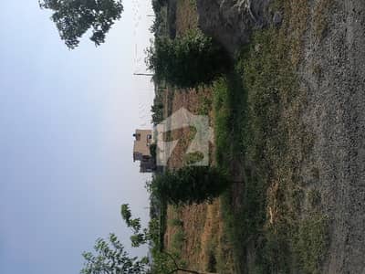 Beautiful 5m Plot For Sale