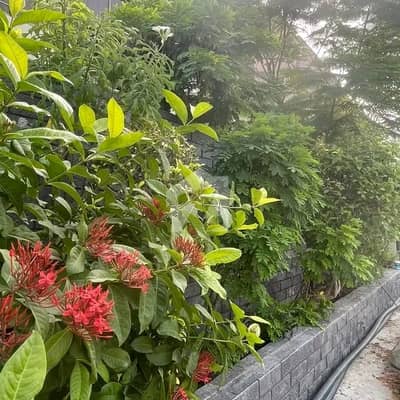 ڈی ایچ اے فیز 8 ڈی ایچ اے ڈیفینس,کراچی میں 6 کمروں کا 1 کنال مکان 5.5 لاکھ میں کرایہ پر دستیاب ہے۔ ڈی ایچ اے فیز 8 ڈی ایچ اے ڈیفینس,کراچی میں 6 کمروں کا 1 کنال مکان 5.5 لاکھ میں کرایہ پر دستیاب ہے۔