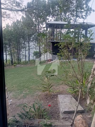 پائن سٹی ہاؤسنگ سوسائٹی پیر سوہاوا روڈ,پیر سوہاوا,اسلام آباد میں 1 کنال رہائشی پلاٹ 1.2 کروڑ میں برائے فروخت۔ پائن سٹی ہاؤسنگ سوسائٹی پیر سوہاوا روڈ,پیر سوہاوا,اسلام آباد میں 1 کنال رہائشی پلاٹ 1.2 کروڑ میں برائے فروخت۔