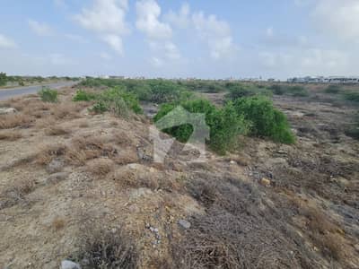 DHA City Plot For Sale 500 Yards In Sector 10 B
