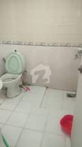 7 7
