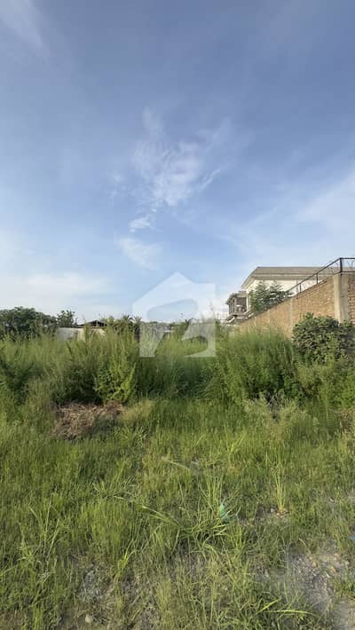 7 Marla Premium Residential Plot For Sale | Age Block | Prime Location | Old Size | Demand 62 Lac
