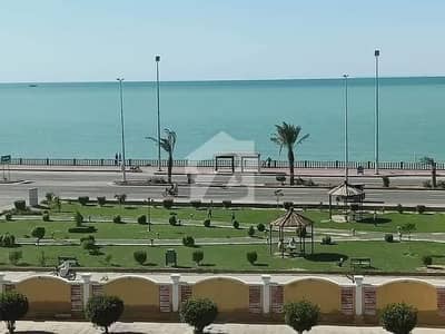 1000 Sq Yards Residential Plot for Sale in New Town Phase 3 Gwadar