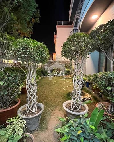 400 Yards Well Mentioned House For Sale. 400 Yards Well Mentioned House For Sale.