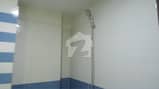 10 10