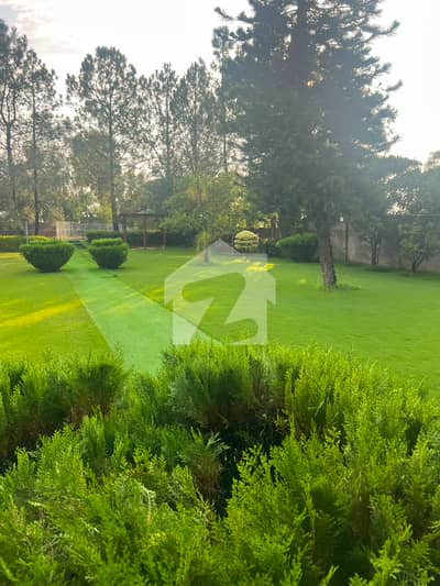 FARM HOUSE AVAILABLE FOR RENT IN BANIGALA