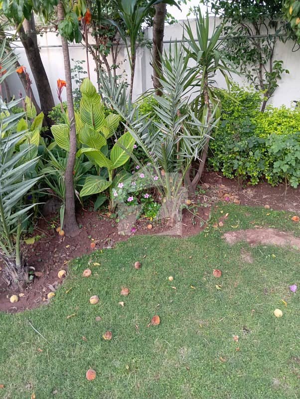 Lower Portion AVAILABLE FOR RENT IN BAN IGALA Lower Portion AVAILABLE FOR RENT IN BAN IGALA