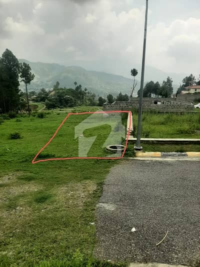Best location 8 marla Plot in Green City Housing Scheme Mansehra