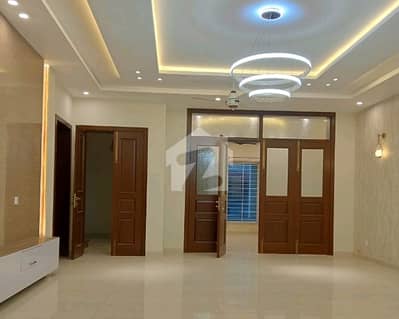 Centrally Located Lower Portion For Rent In D-12/4 Available