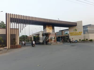 20+20 Marla Pair Plots Available For Sale In Premium Block Abdullah Gardens East Canal Road Fsd.