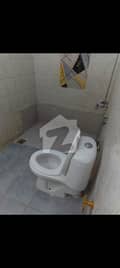 3 3