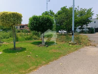 20 Marla Plot Back Of Main Road SuperHot Location Reasonable Price in Phase 6 Block C in Numbering 732